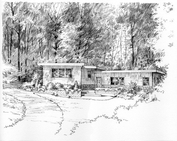 Hand Drawn Trees And Shrubs Black And White Esbozo View